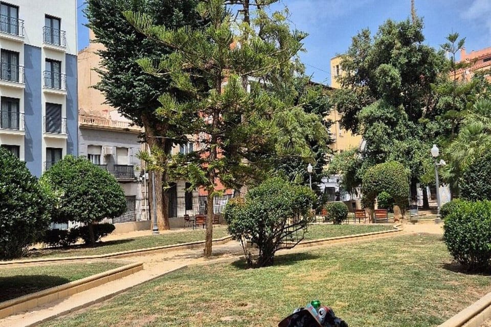 Immediate Surroundings [summer] (<1 km)