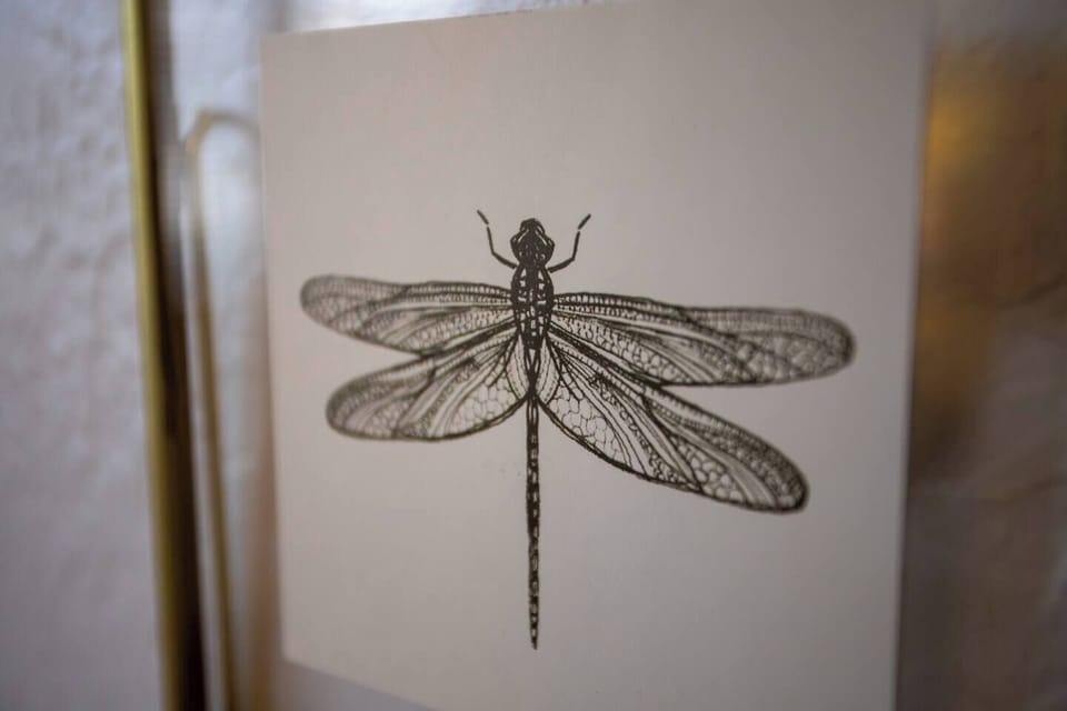 Delicate and artistic detail! This finely drawn dragonfly print adds a touch of nature-inspired elegance, perfectly complementing the home's eclectic charm.
