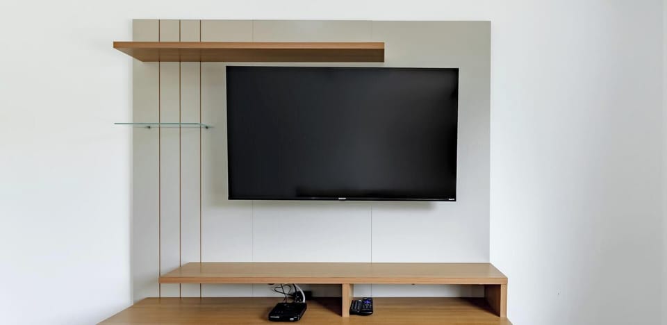 Television