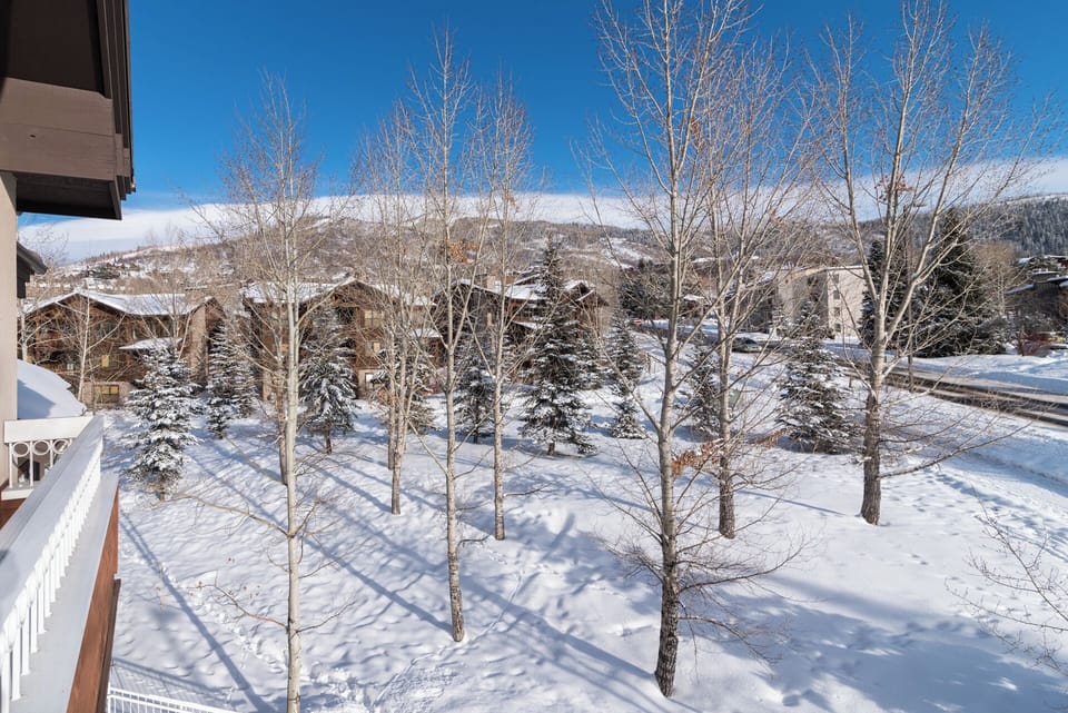 Scenic winter view captures snow-covered mountain terrain, frosty evergreens, and bare aspens surrounding this charming alpine neighborhood under crisp blue skies.