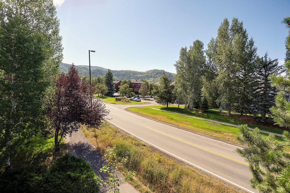 Tree-lined street in a quiet mountain neighborhood with scenic forested peaks in the distance and parking nearby.