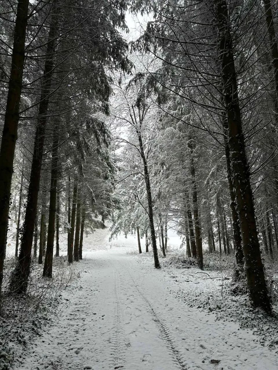Surroundings
