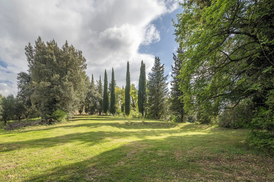 Autumn, Garden, Spring, Summer