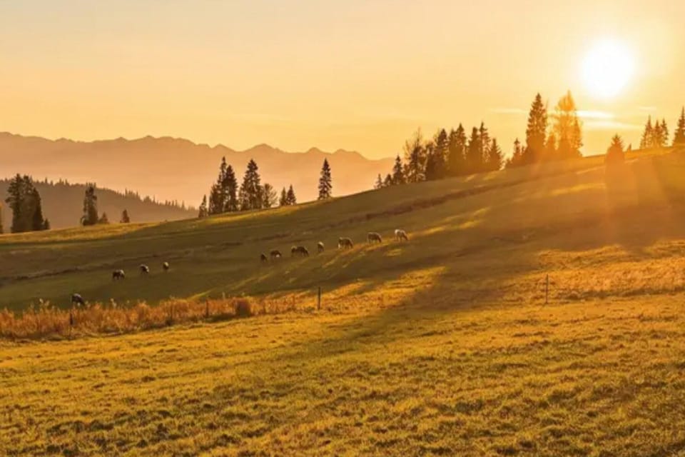 Surroundings [summer] (1-5 km)