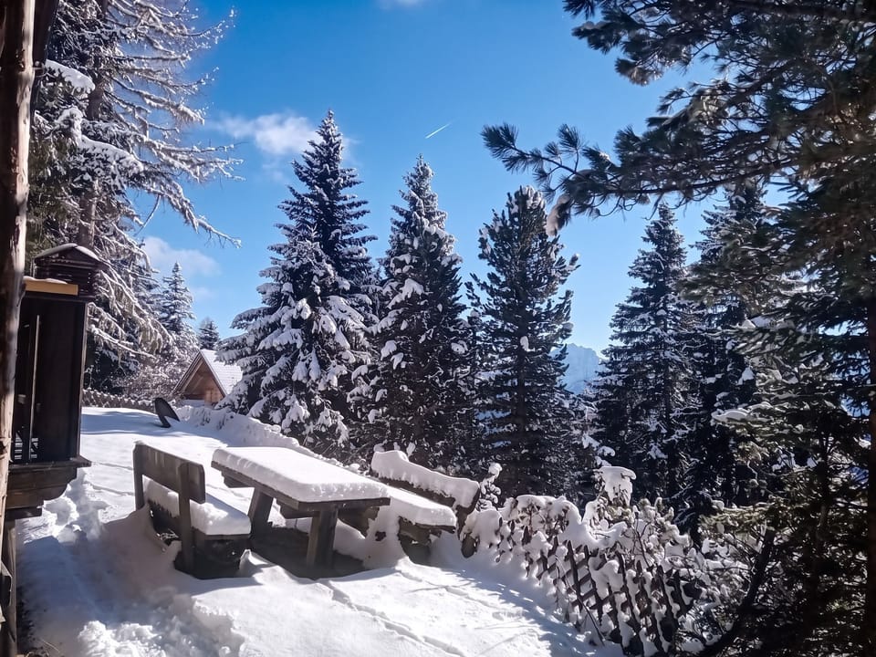 Immediate Surroundings [winter] (<1 km)