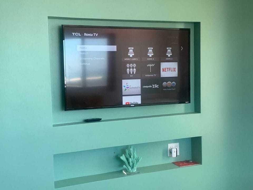 Television