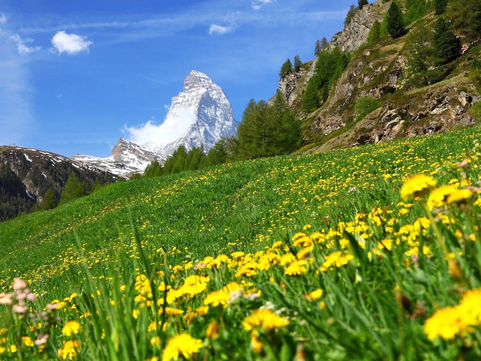 Mountain Range, Valley, Meadow, Groundcover, Alps, Wildflower, Hill Station, Pasture, Glacial Landform, Ridge