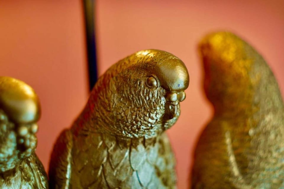 Ambiance / Close-up