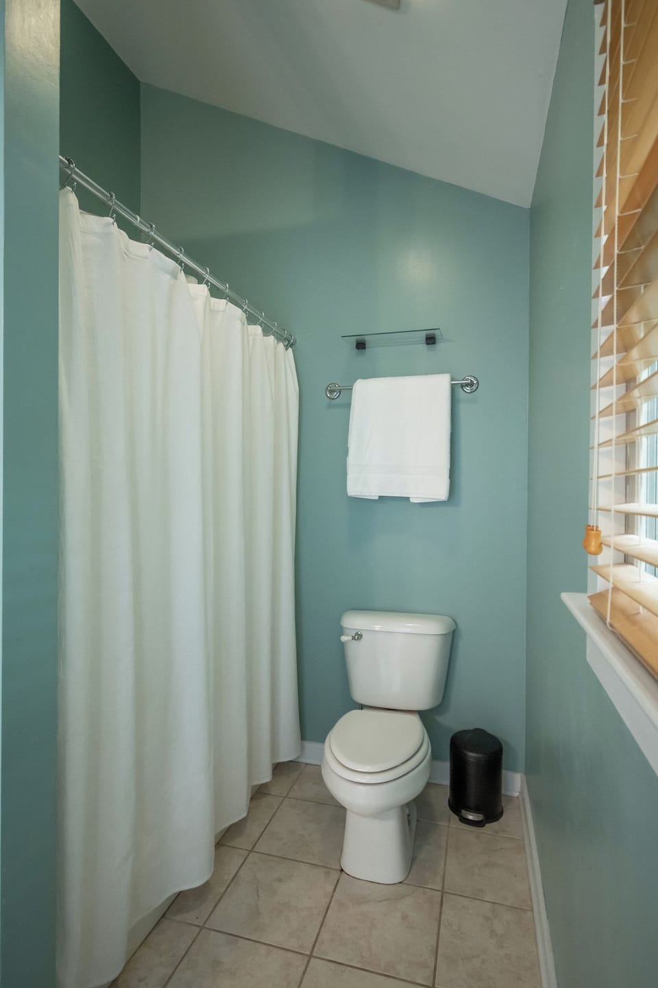 Shower/Tub combo in bath #1