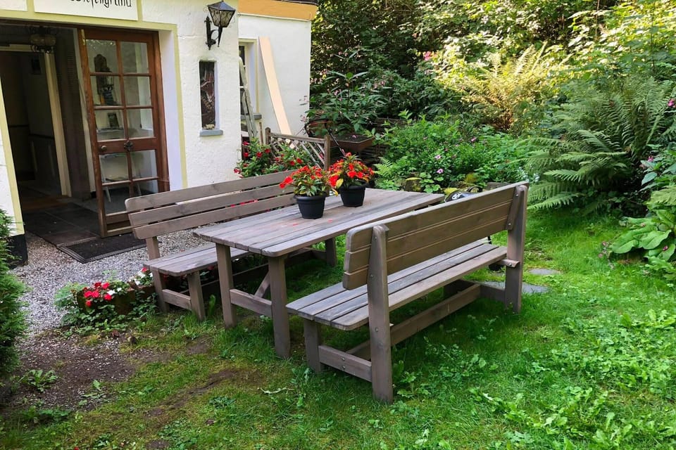 Garden [summer]