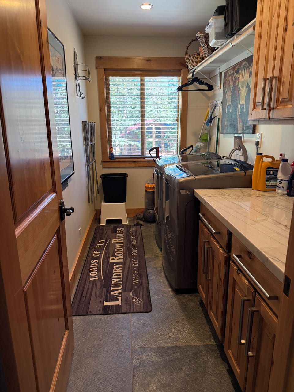 Laundry room with high capacity washer and cleaning supplies)