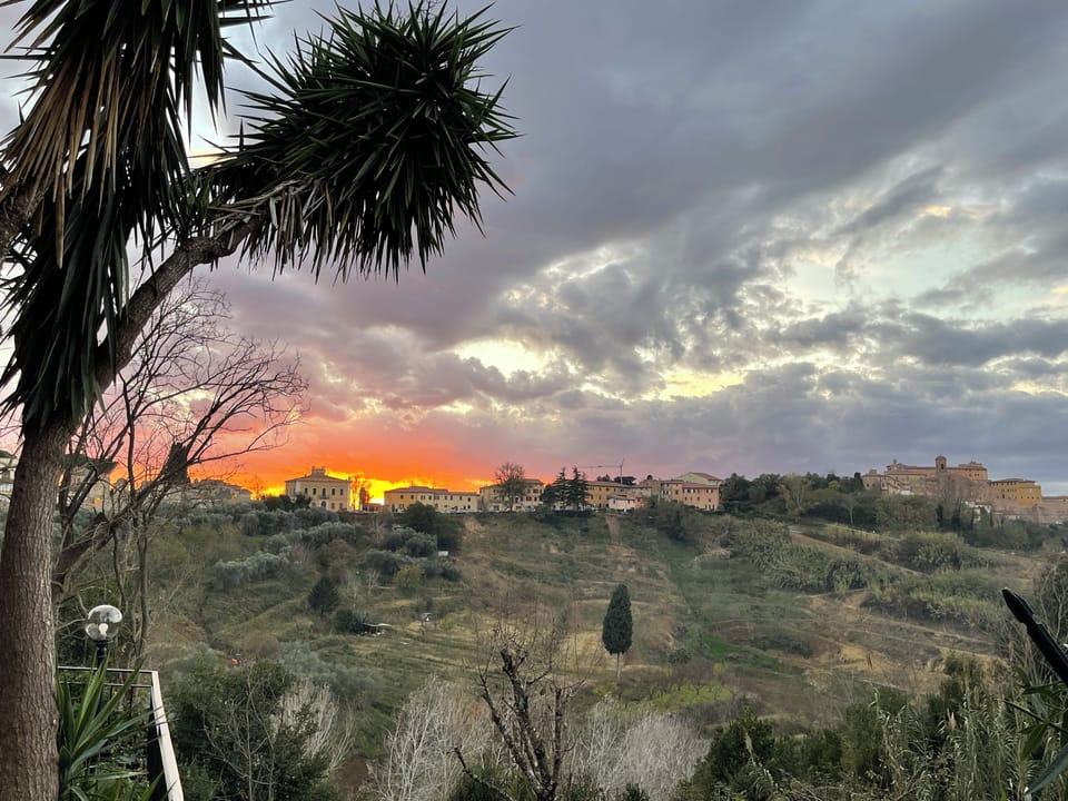 View from property