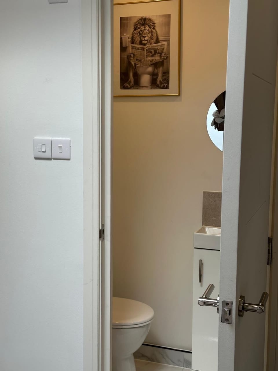 Image 12