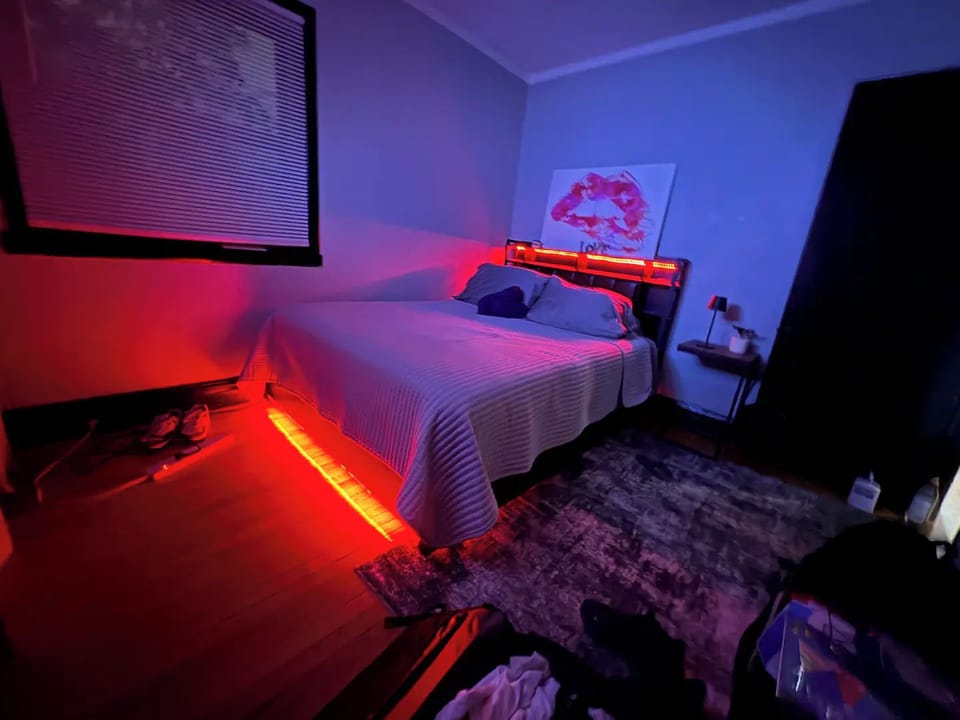 King Bed in Oak Park w/Chicago Chic Apartment in Oak Park
