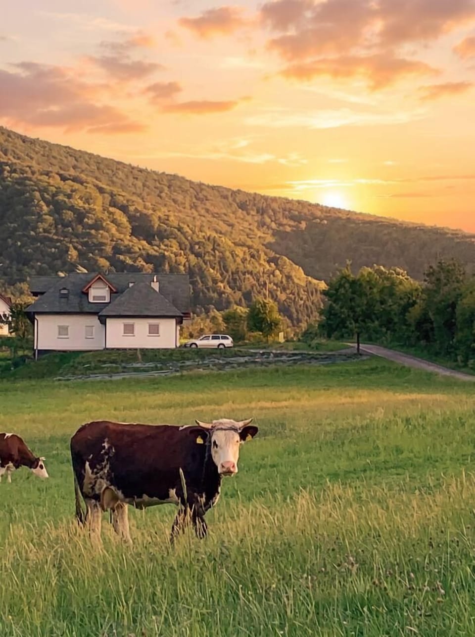 Countryside living, with a chic vibe and friendly neighbors.