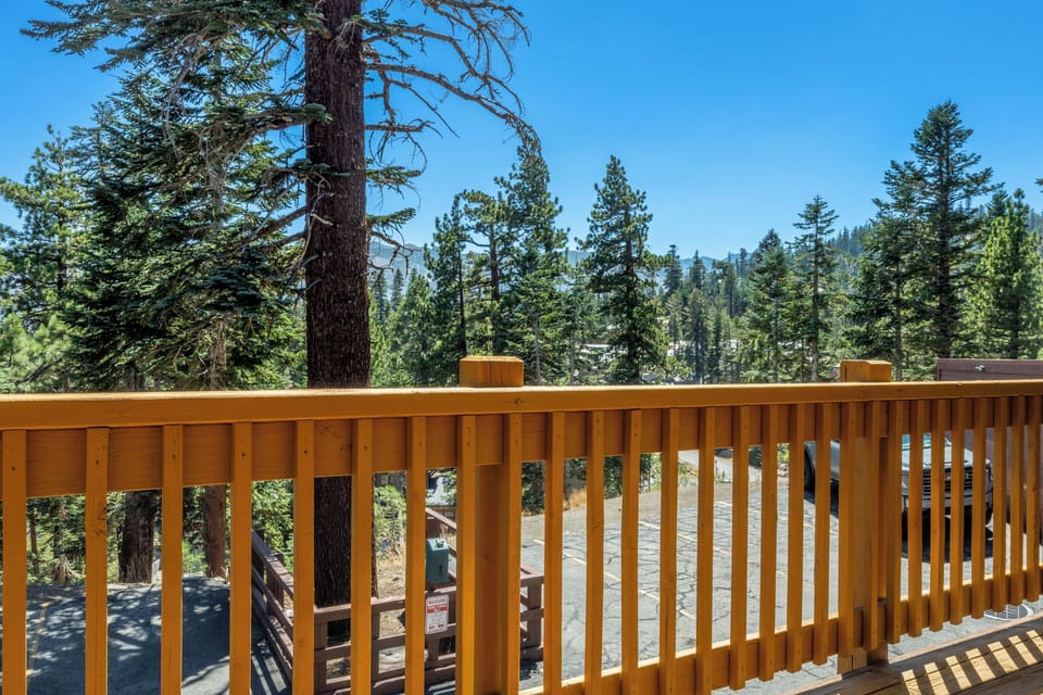 The sunlit balcony offers a quiet forested setting framed by towering pines and clear blue skies, a peaceful backdrop for your morning coffee.