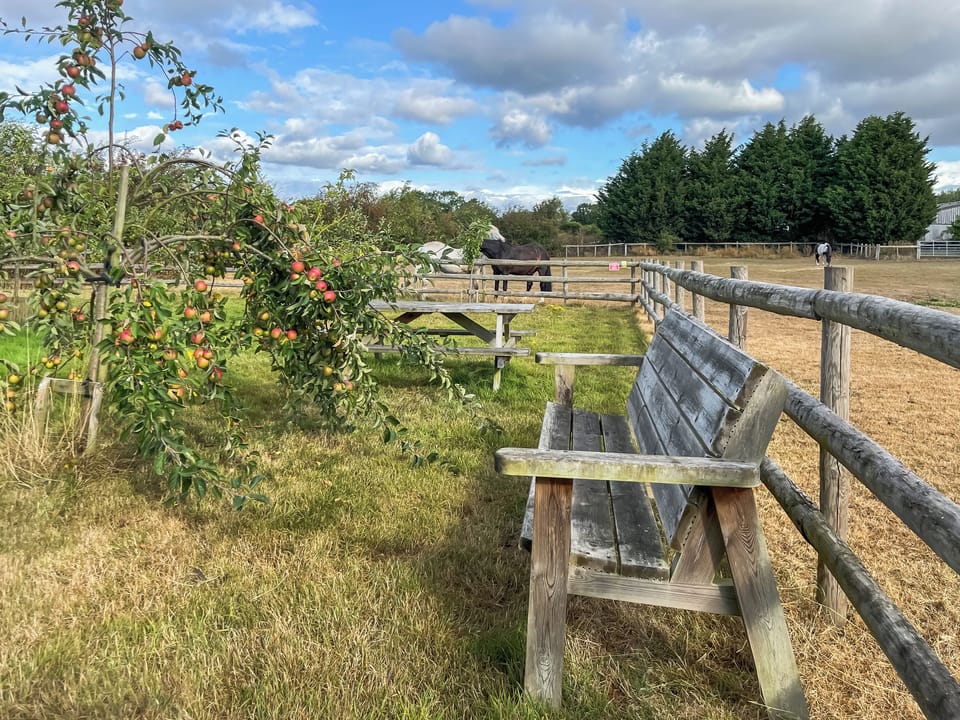 Outdoor area | Clyden, Acton Bridge, near Northwich