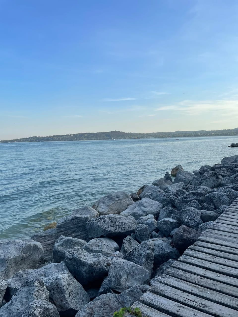 Miscellaneous