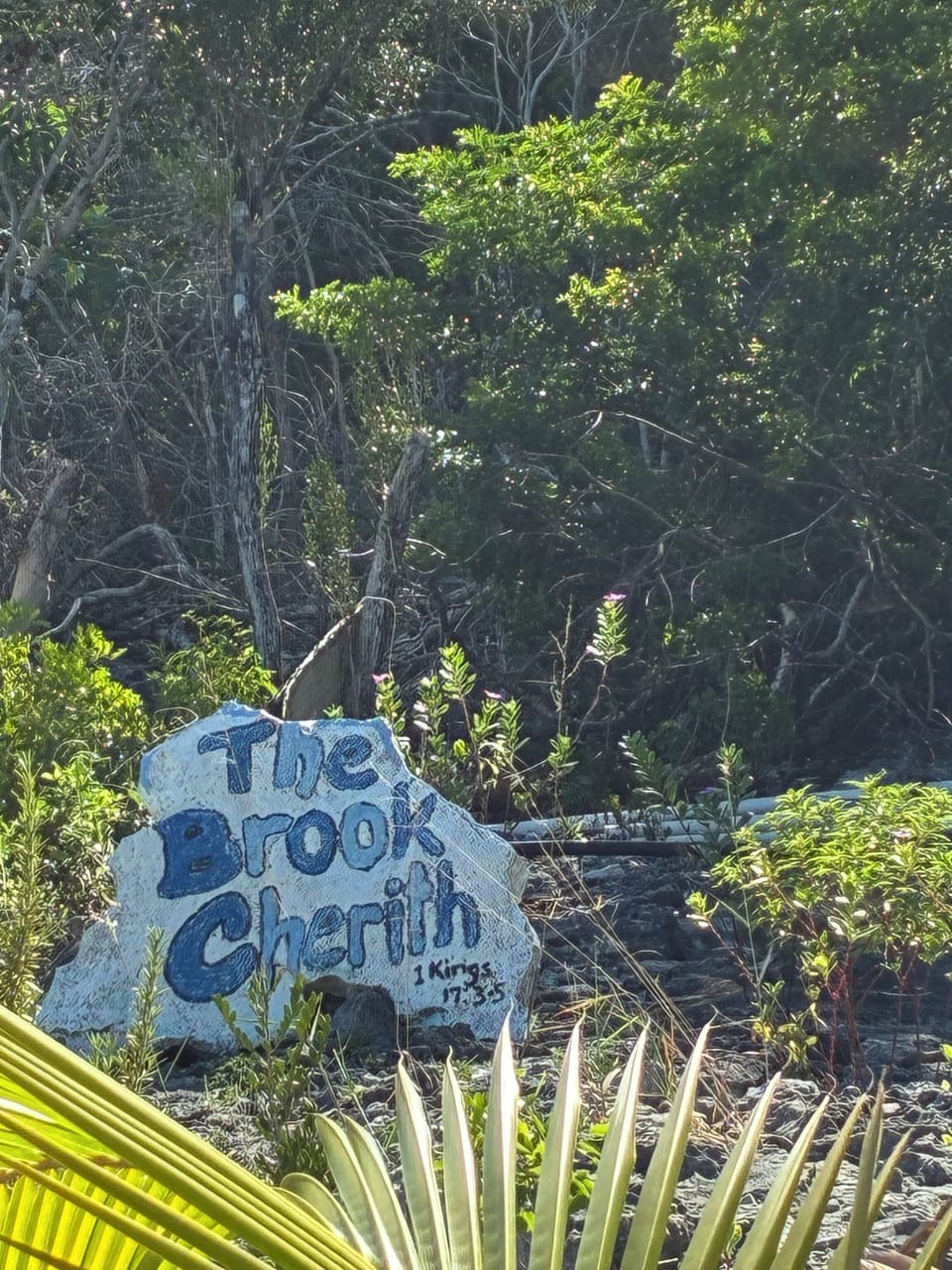 Glamping, Beautiful 1-bedroom campground with AC in Deep Creek Settlement Campground/ 
RV Resort in Bahamas