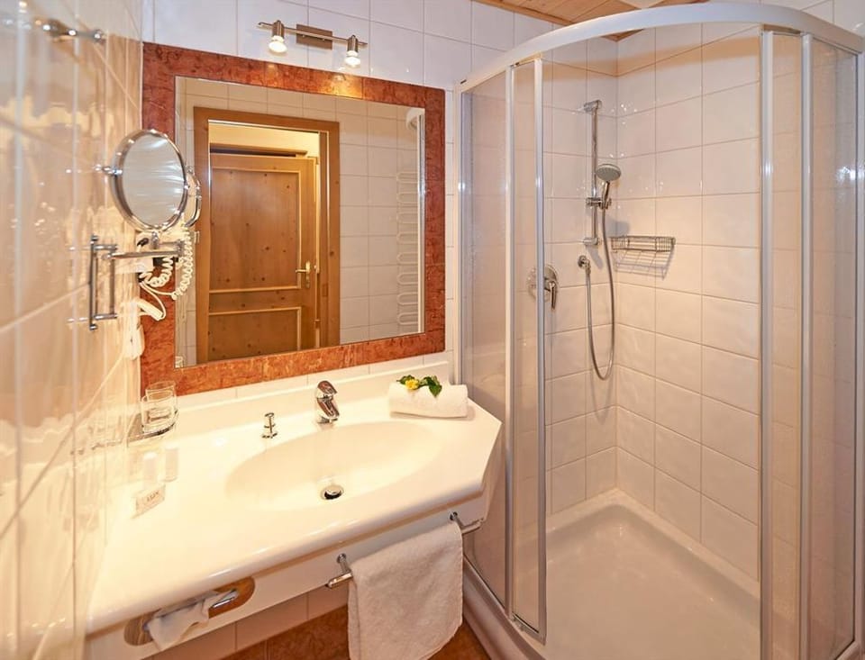 Double Room TYPE C - Half Board Short Stay - 3* S Hotel Martin Apartment in Styria