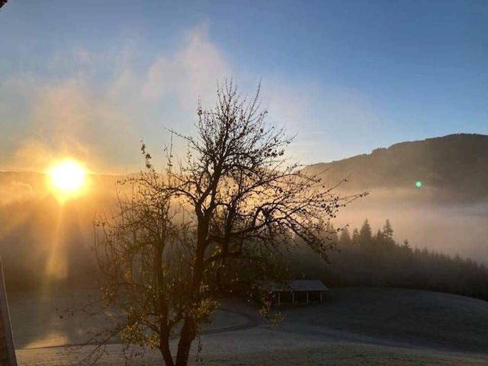Lettlhof - Morning Sun Farm Stay in Salzburgerland
