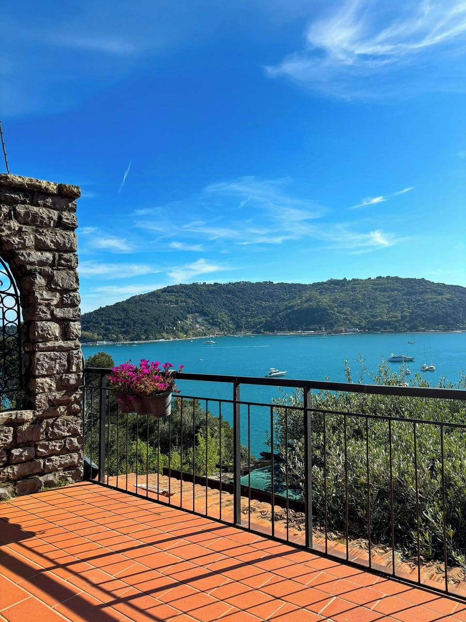 Private sea-view garden near Portovenere House in Porto Venere