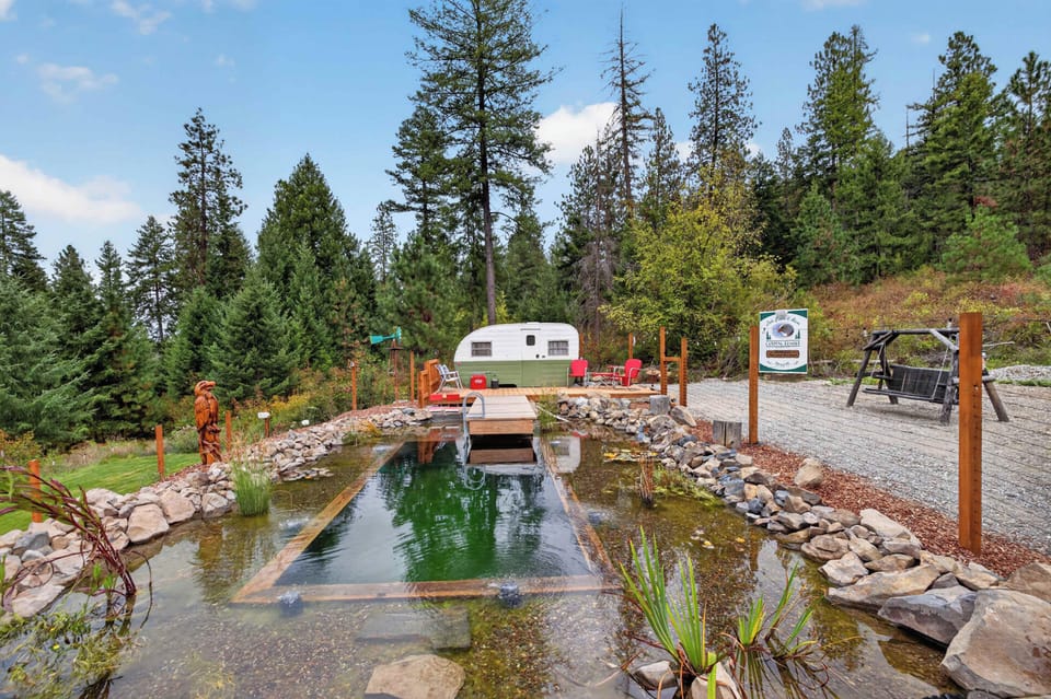 Natural swimming pond with a dock, surrounded by peaceful forest scenery.