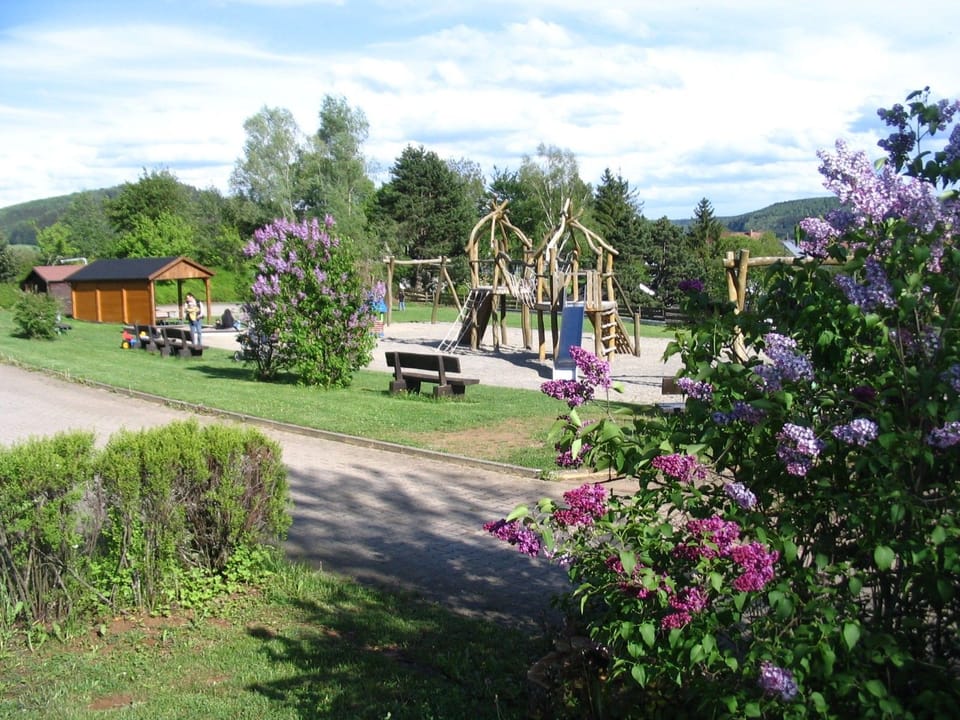 Children's area