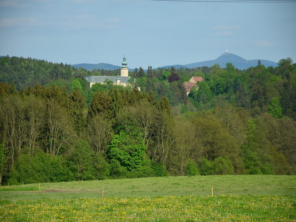 Immediate Surroundings [summer] (<1 km)