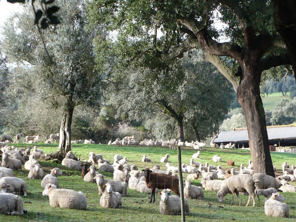 Surroundings [summer] (1-5 km)