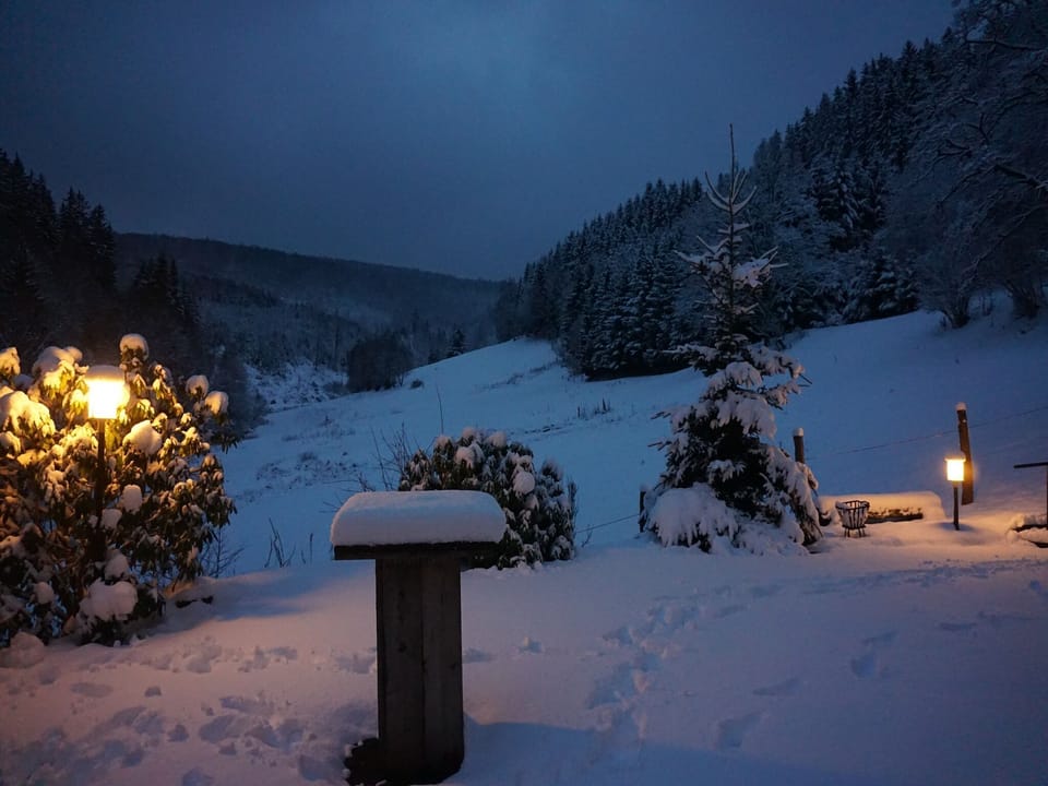 Garden [winter]