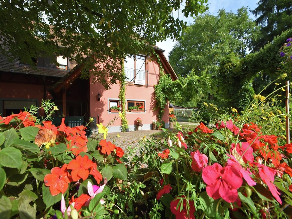 Holiday Home Exterior [summer]