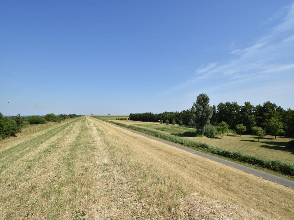 Immediate Surroundings [summer] (<1 km)