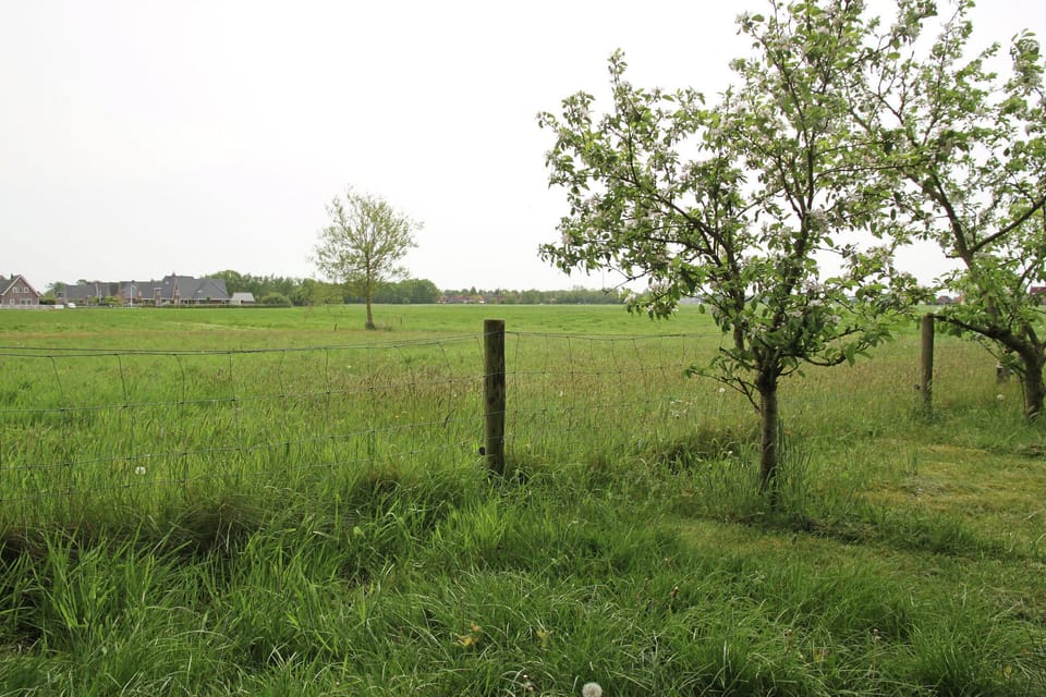 Immediate Surroundings [summer] (<1 km)