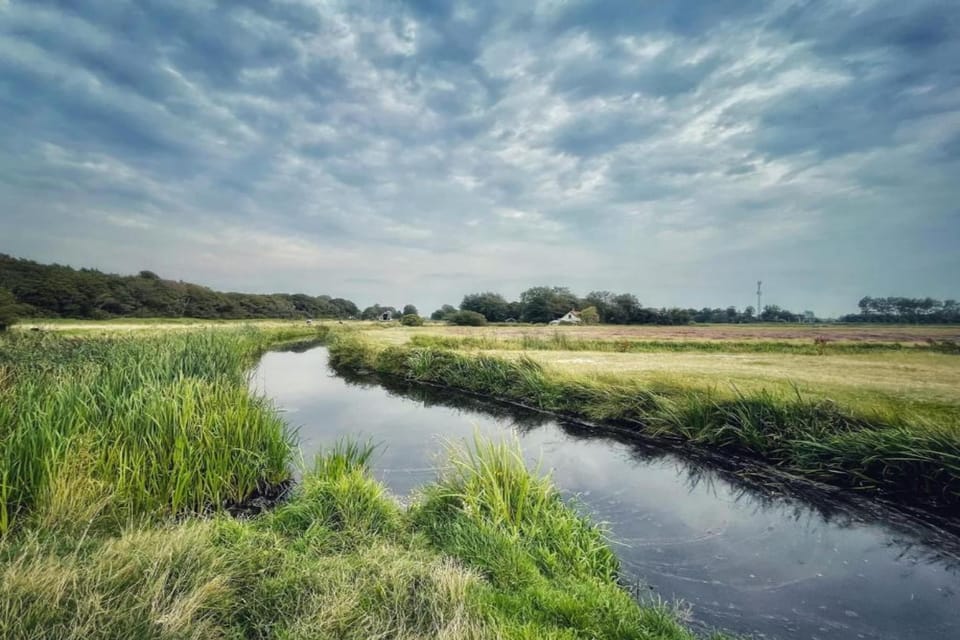 Region [summer] (>5 km)