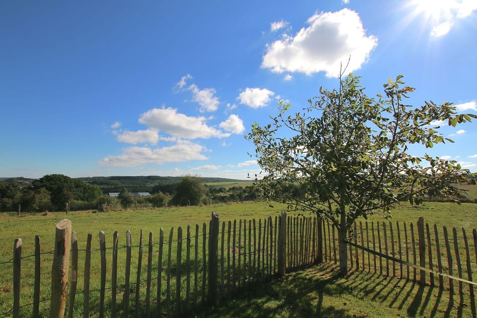 View from Holiday Home [summer]