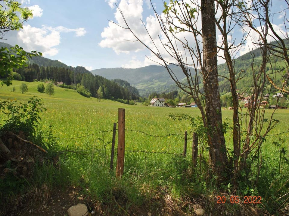 View from Holiday Home [summer]