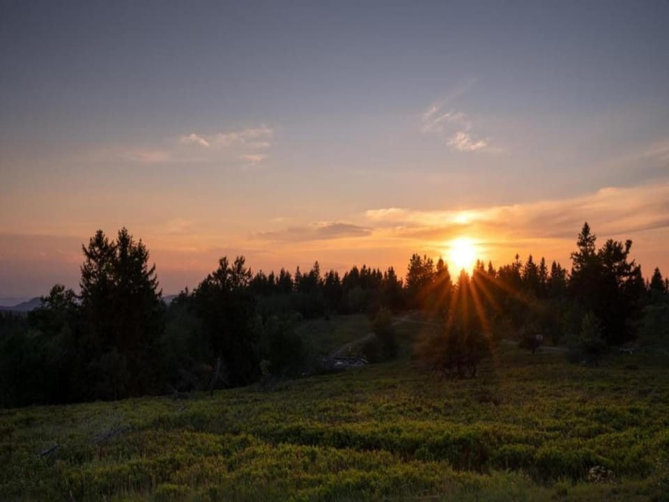 Surroundings [summer] (1-5 km)