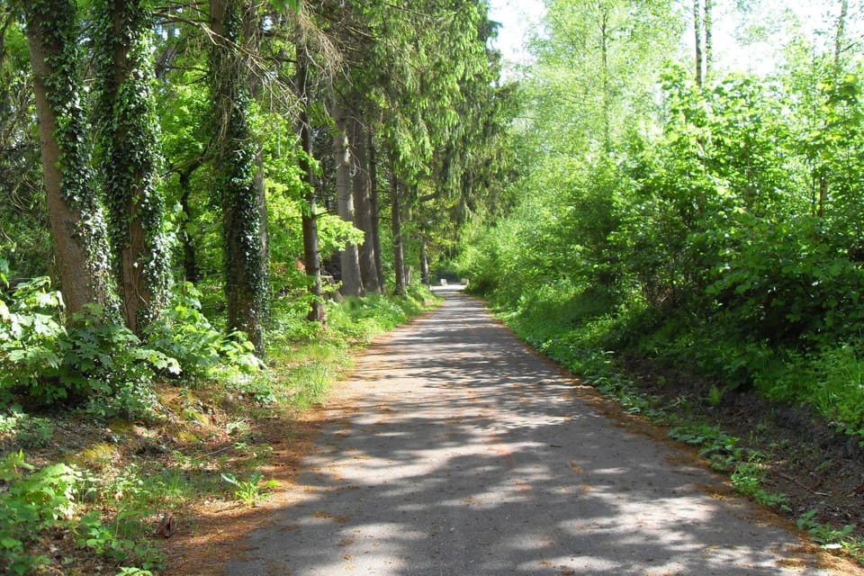 Region [summer] (>5 km)