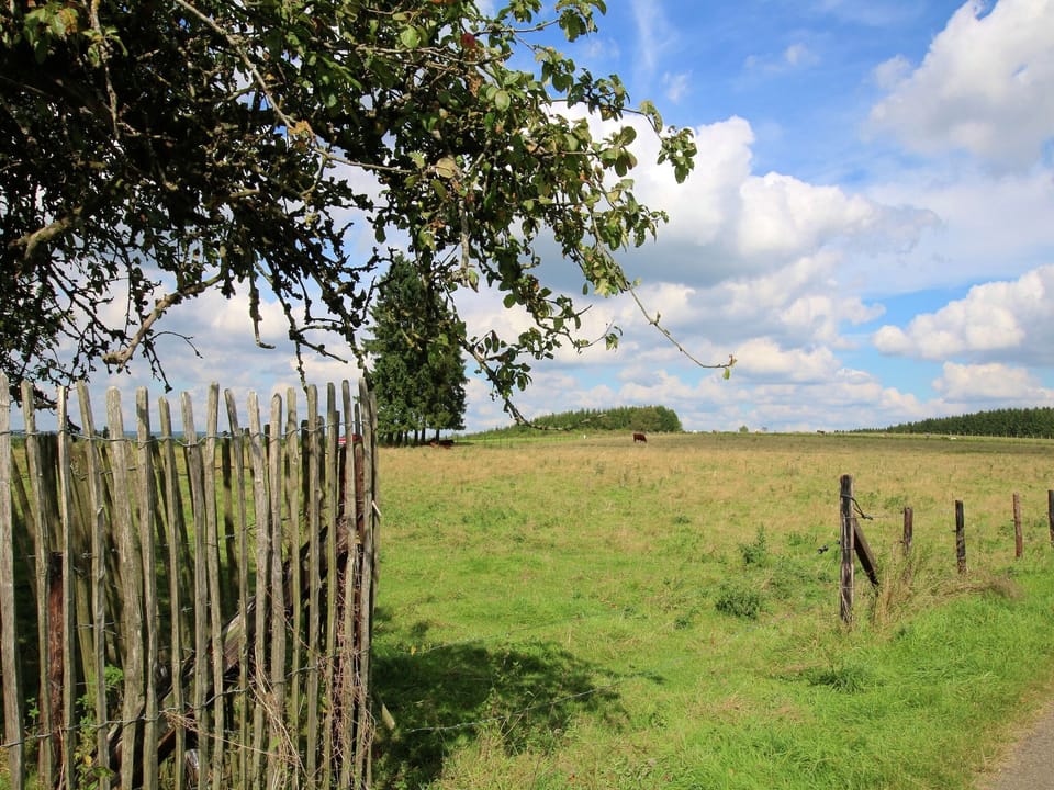 Immediate Surroundings [summer] (<1 km)