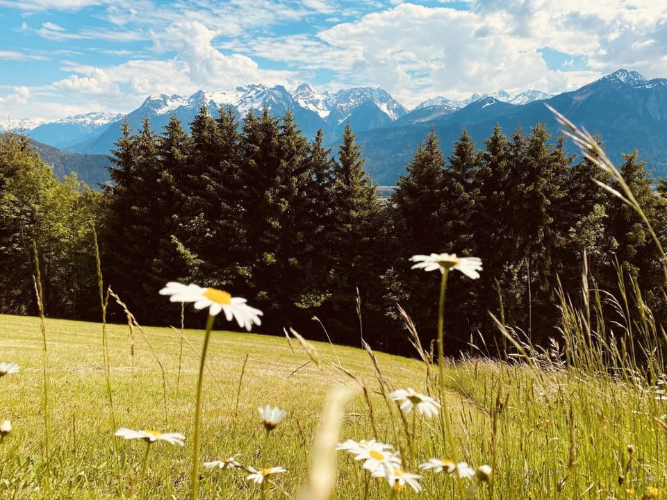 Region [summer] (>5 km)