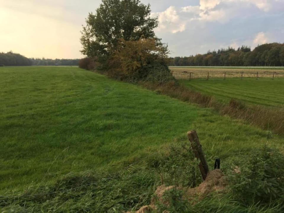 Surroundings [summer] (1-5 km)