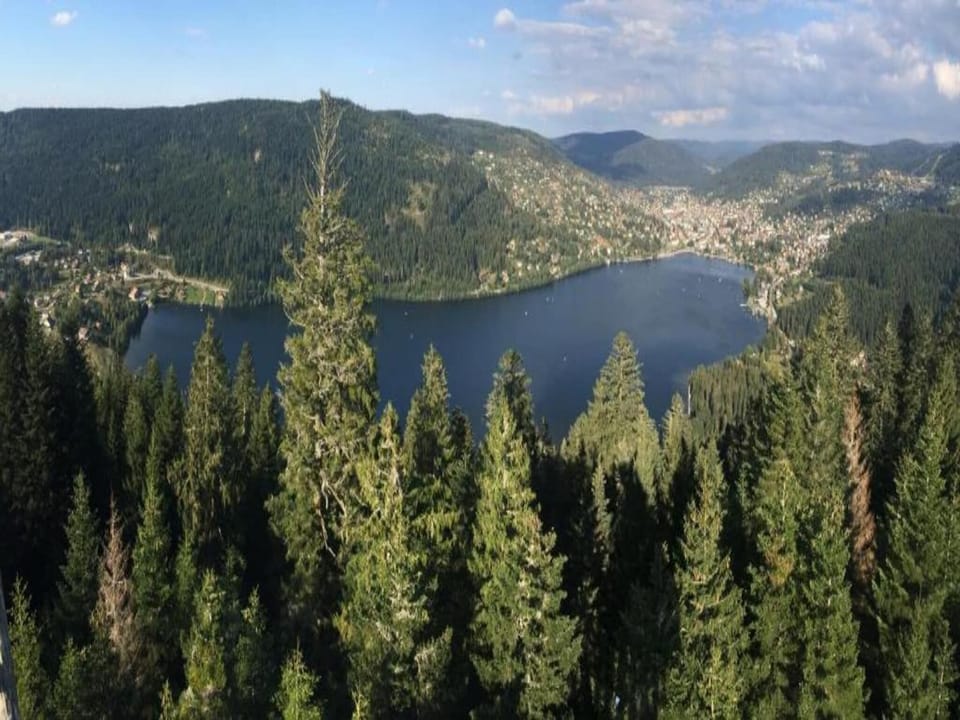 Region [summer] (>5 km)