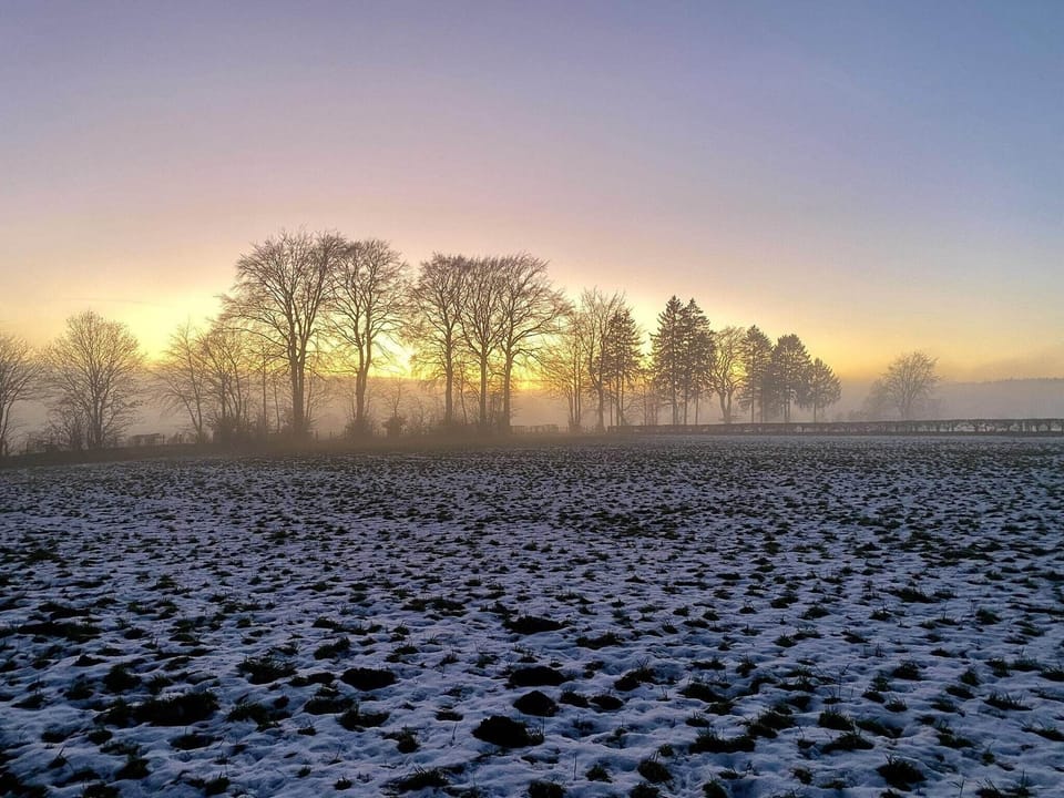 Region [summer] (>5 km)