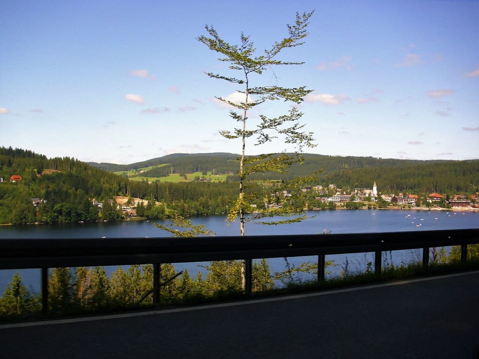 Region [summer] (>5 km)