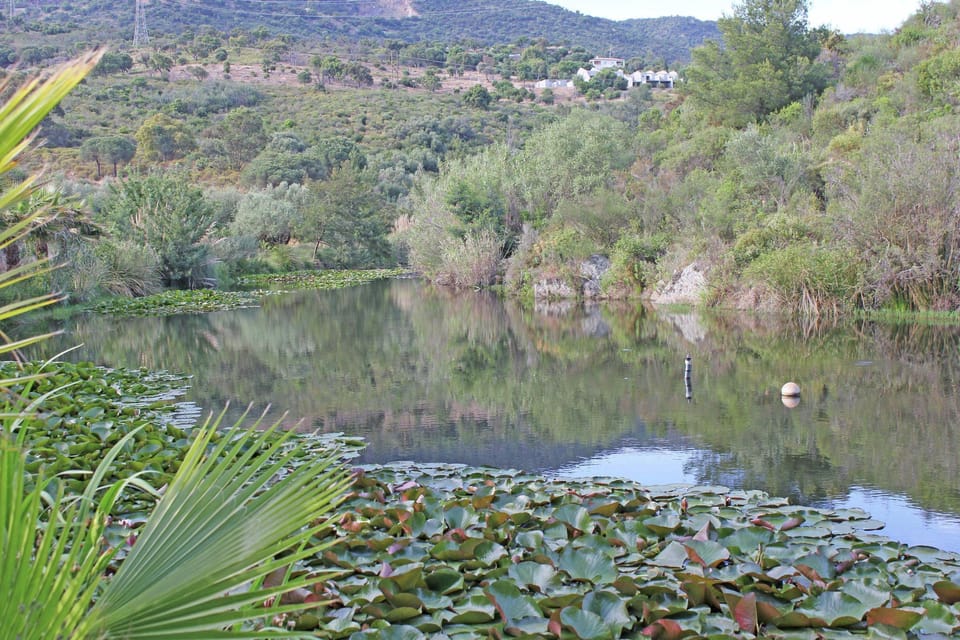 Immediate Surroundings [summer] (<1 km)