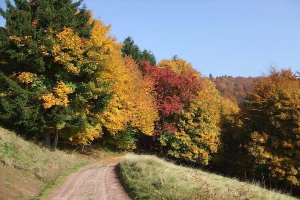 Entrance / Reception