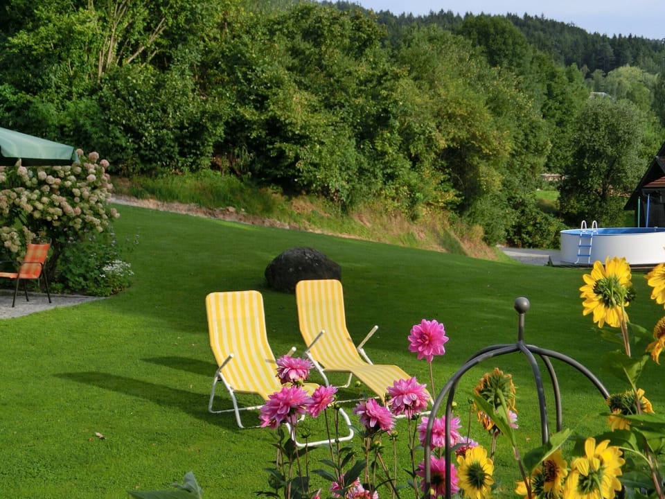 Garden [summer]