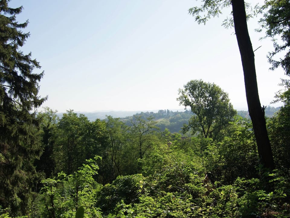 View from Holiday Home [summer]