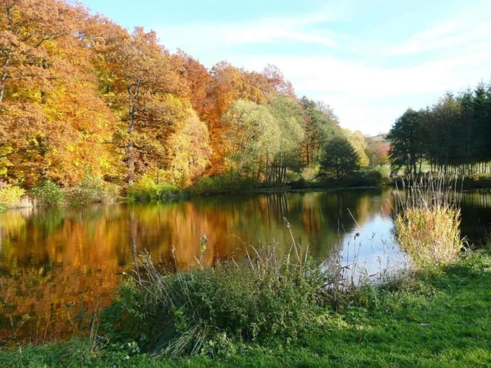 Surroundings [summer] (1-5 km)